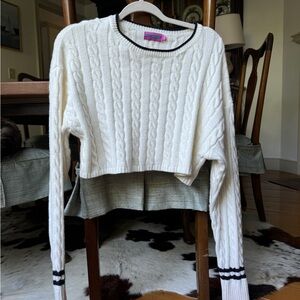 Cropped edikted sweater